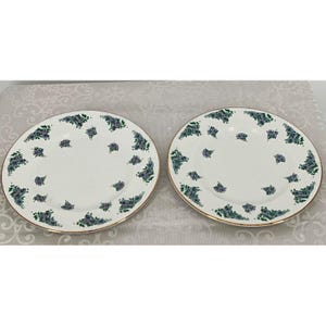 Royal Victoria Rov3 Ensemble de 2 assiettes à salade florales en porcelaine tendre, 8,25 po. finition or Angleterre