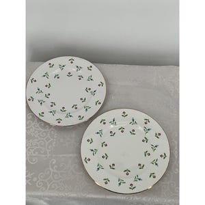Royal Victoria ROV12 Fine Bone China Floral Salad Dessert Plates Set Of 2