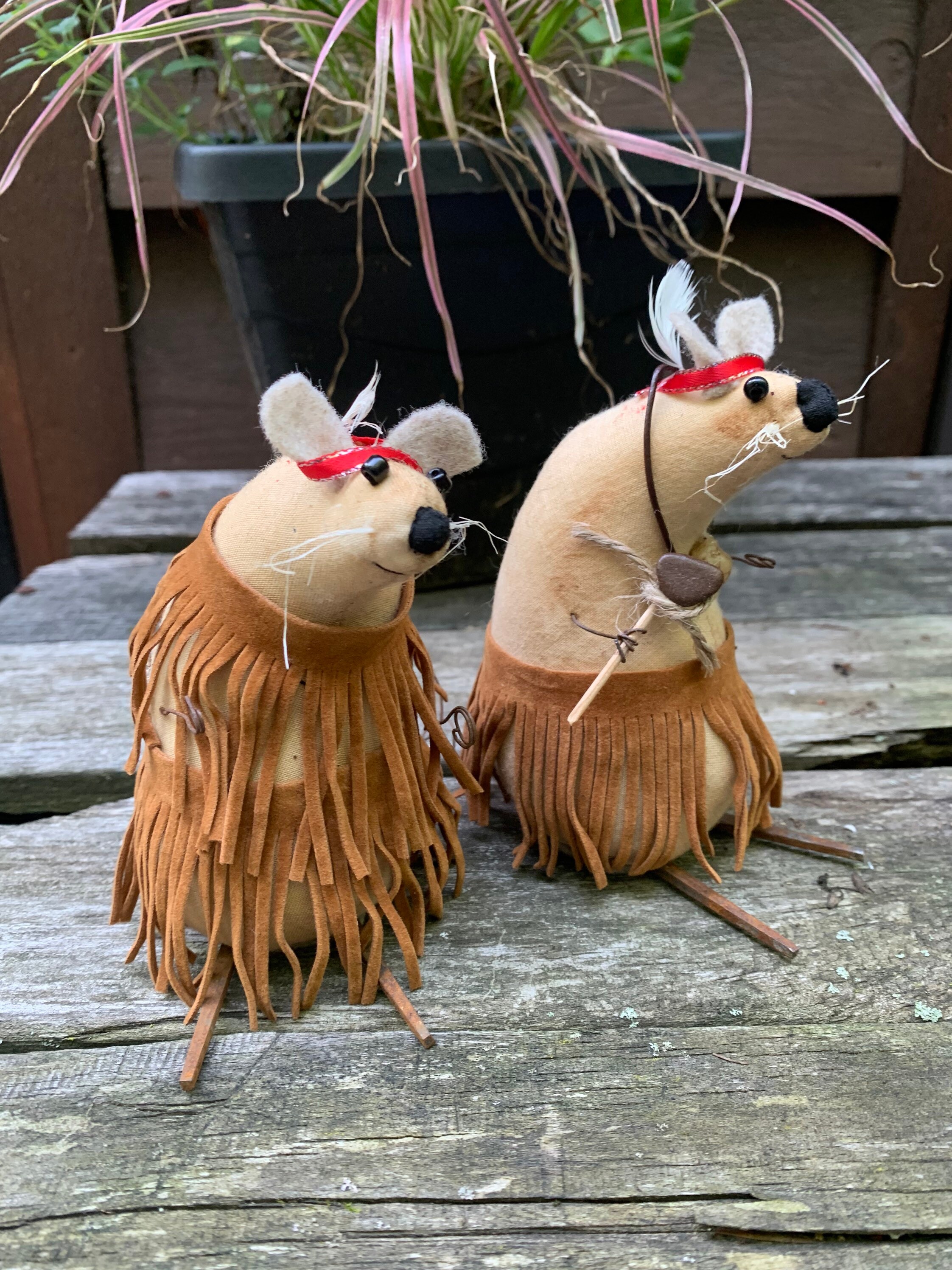 Primitive “Indian” Mice