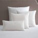 see more listings in the Pillow Inserts section