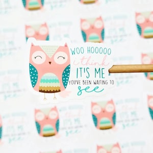 Stickers courrier joyeux printemps, Stickers hiboux, Stickers de remerciement printanier, Stickers de commande, Stickers d'entreprise, Qté 20/24