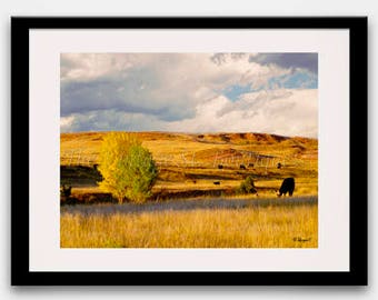 Imprimés- Décoration d'accueil - Cow Print- Rustic Art- Barn Art- Cabin Decor- Automne- Photographie- Art- Digital- You Print