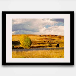 Drucke - Home Decor - Kuh Druck - rustikale Kunst -Scheune Kunst-Kabine Dekor- Herbst-Fotografie-Kunst-Digital-Sie-Druck
