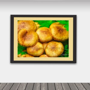 Mushroom Art/Kitchen Art/Mushroom Print/Mushroom Decor/Mushroom Art/Country Decor/Farmhouse Art/Gifts for Cooks/Stationery/Card Making