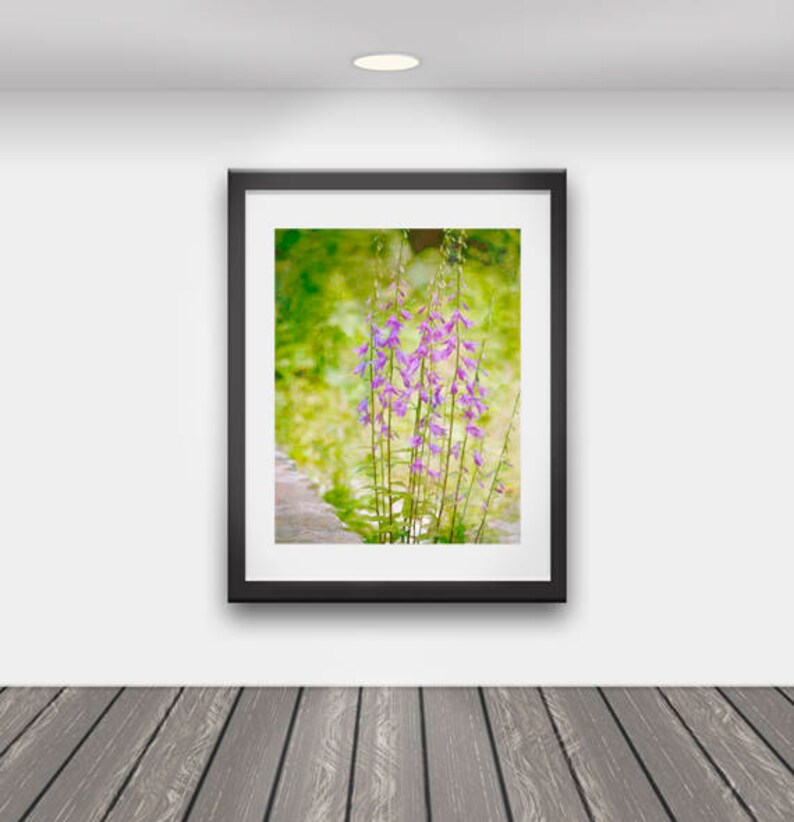 Printable Flower Wall Art/flower Wall Art/home Decor/ Mixed - Etsy