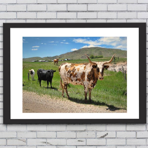 Art/ Animals/ Texas Longhorn/ Photography/ Cabin Art/ Rustic Art/ Veterinarian Decor /Office/ Cows/ Cattle / Digital- you print