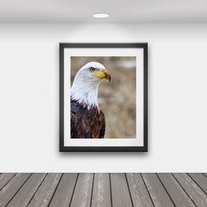 Druckbare Adler Malerei/druckbare rustikale Kunst / Kabine Kunst / rustikale Druck / Digitaldruck / Fotografie / Kunst / Wandkunst / Landschaft Kunst