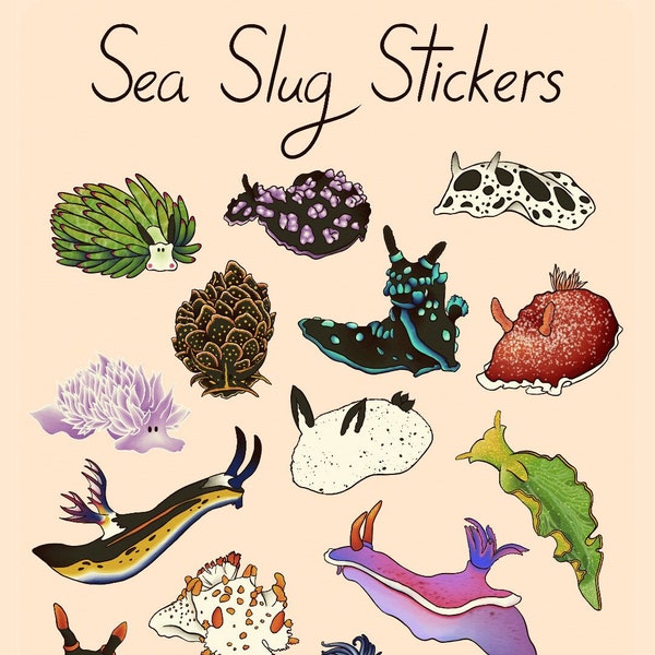 Sea Slug Sticker Sheet
