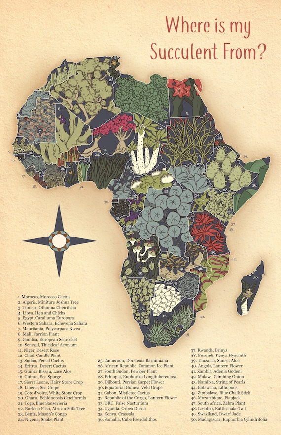Succulents of Africa Map Poster