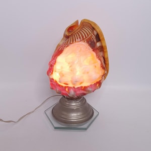 Könnte beinhalten: Dekorative Muschellampe mit warmem, leuchtendem Licht. Die Lampe hat einen natürlichen Muschelschirm in Braun-, Rot- und Weißtönen, der auf einem silberfarbenen Sockel montiert ist. Die Lampe ist eingesteckt und betriebsbereit.