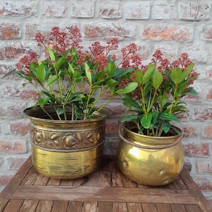 Könnte beinhalten: Zwei antike Messing-Pflanzgefäße mit grünen Pflanzen und roten Blüten stehen auf einem Holztisch vor einer Backsteinmauer. Ein Pflanzgefäß ist rund mit einem Seilgriff, das andere ist ein dekorativer Topf mit floralen Details.