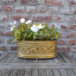 Antik fransk Jardinière mässingsblomkruka med invecklade lejonfötter fransk rustik stugdekor