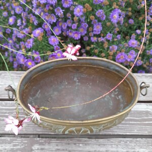 Pu&ograve; includere: Un'antica fioriera in ottone, di forma ovale, con dettagli decorativi sul bordo inferiore. La fioriera ha due piccole maniglie e contiene acqua. Fiori rosa e bianchi e un sottile stelo sono drappeggiati sulla fioriera, con uno sfondo di fiori viola.