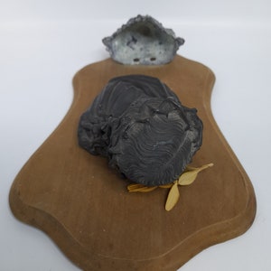 K&ouml;nnte beinhalten: Eine schwarze und graue Keramikskulptur eines Frauenkopfes auf einer Holzplatte. Die Skulptur ist auf der Platte montiert und hat eine abgenutzte Oberfl&auml;che. Die Platte ist braun und hat einen gewellten Rand.