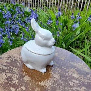 Op de afbeelding: Een witte keramische konijnvormige container met een deksel, geplaatst op een houten tafel. Het konijn heeft rechtopstaande oren en een gedetailleerd gezicht. De achtergrond toont blauwe bloemen en een houten hek, wat een lente- of Paas thema oproept.