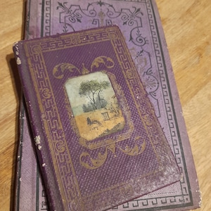 Antieke Franse boeken &quot;Choix des Amis&quot; en &quot;Mois de Mars&quot; set van twee paarse boeken