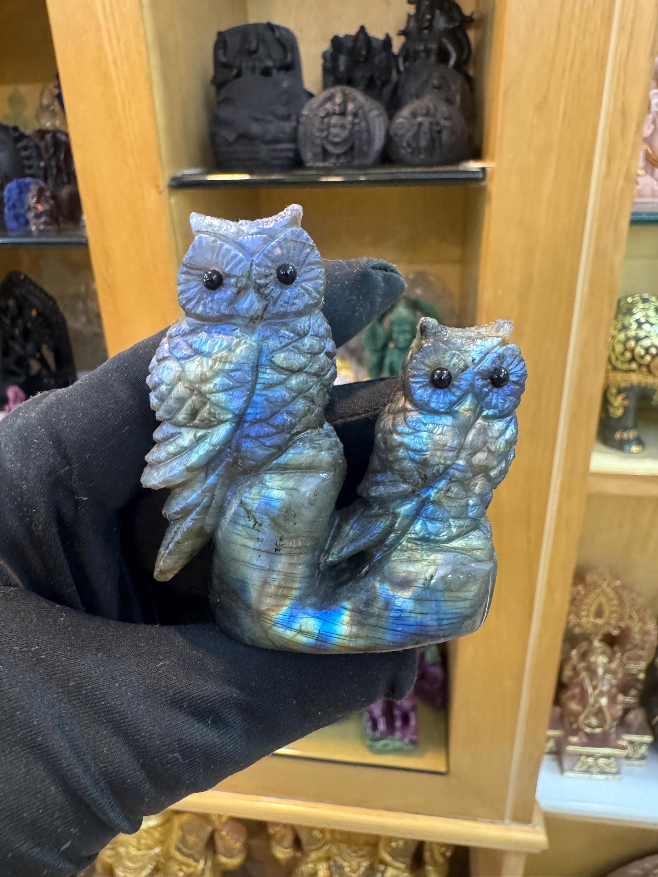 owl pair in labradorite