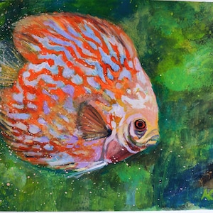Fish Discus Original Painting Unique