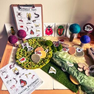Australian Minibeast Insect flashcards