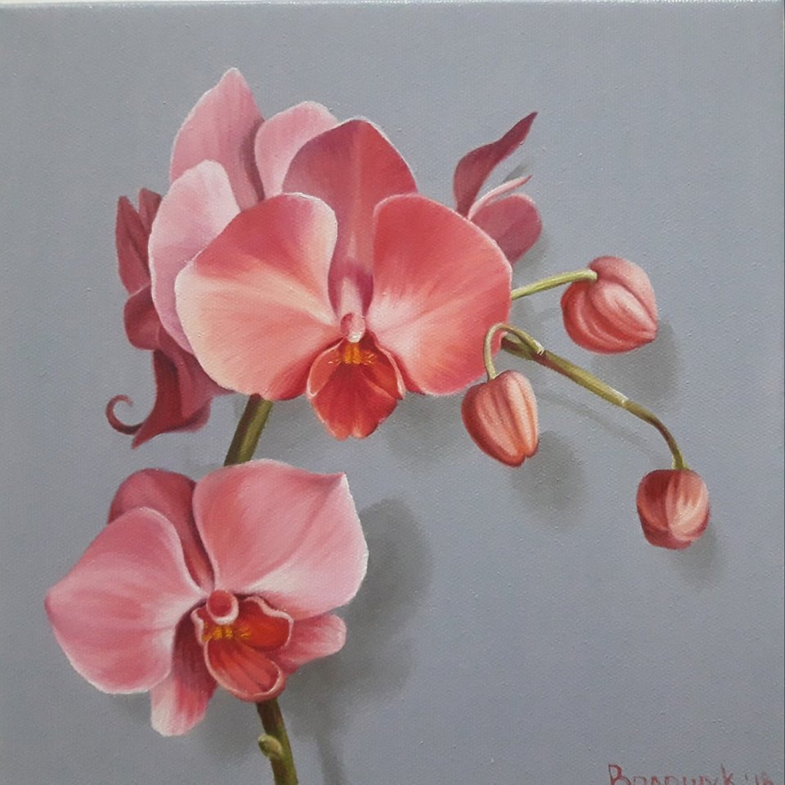 Orchid delicate pink flower oil painting on canvas wall Etsy