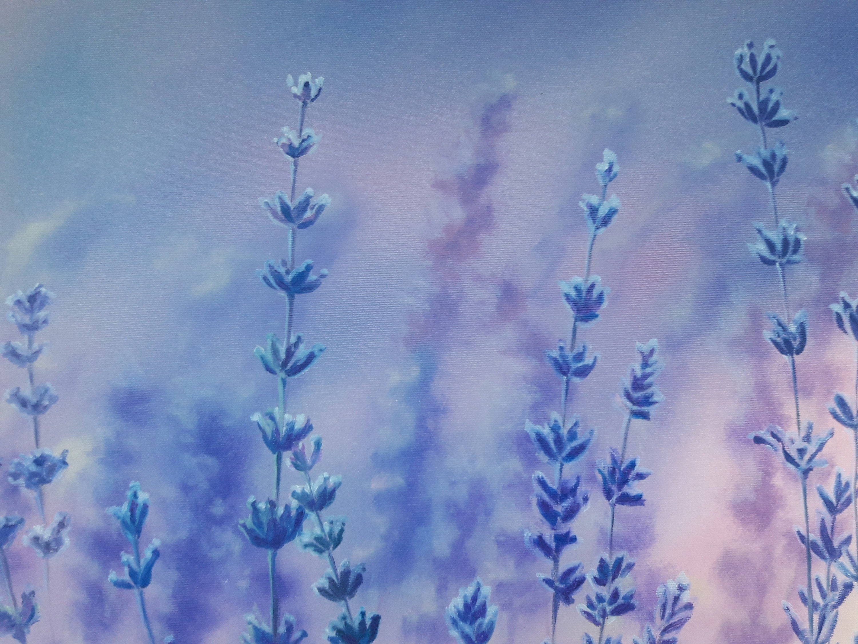 Lavender flowers Oil painting on canvas lavender field Art Etsy