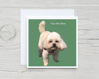 Biglietto personalizzato per animali domestici, biglietto di compleanno personalizzato per cani, biglietto con ritratto di animali domestici, biglietto di compleanno personalizzato per gatti, biglietto dall'animale domestico, biglietto di compleanno per animali domestici