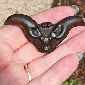 Devil Pod Bat Nut Amulet - Protection Charm - Hoodoo Seed, Uncrossing, Exorcism Talisman