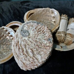 Smudge Feather Fan Set - Etsy