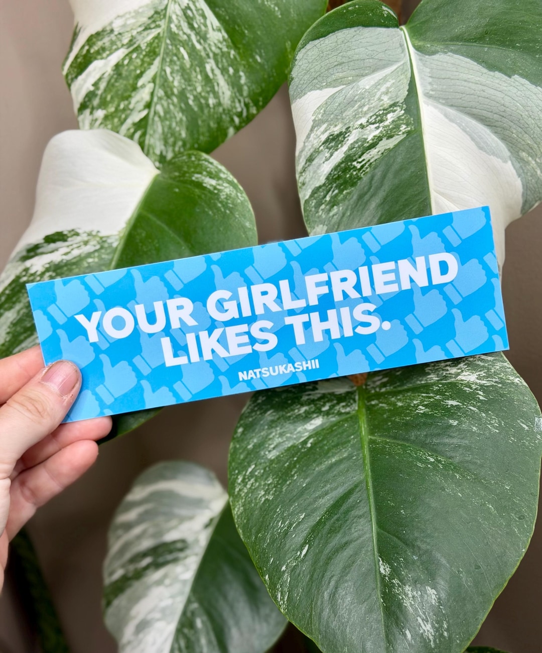 Your Girlfriend Likes This Sticker, Funny JDM Slap Decal, Meme Car ...
