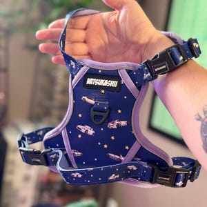 May include: A blue dog harness featuring a car and star design. The harness has a purple trim and the text "MATSUKASHII". It has adjustable straps and black plastic buckles.