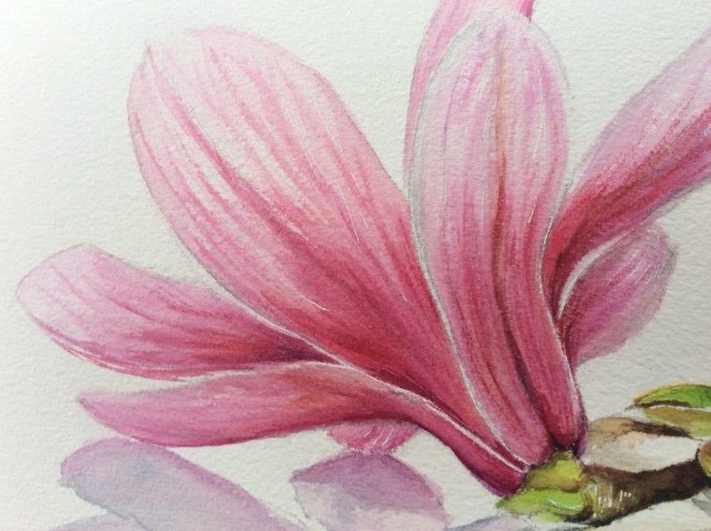 Original watercolor painting MAGNOLIA pink flower | Etsy