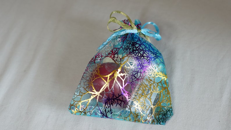 Tortoise Christmas Cracker