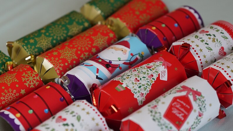 Tortoise Christmas Cracker