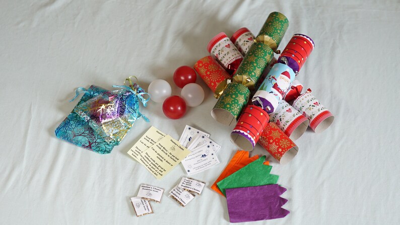 Tortoise Christmas Cracker