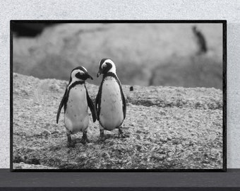 penguin print etsy
