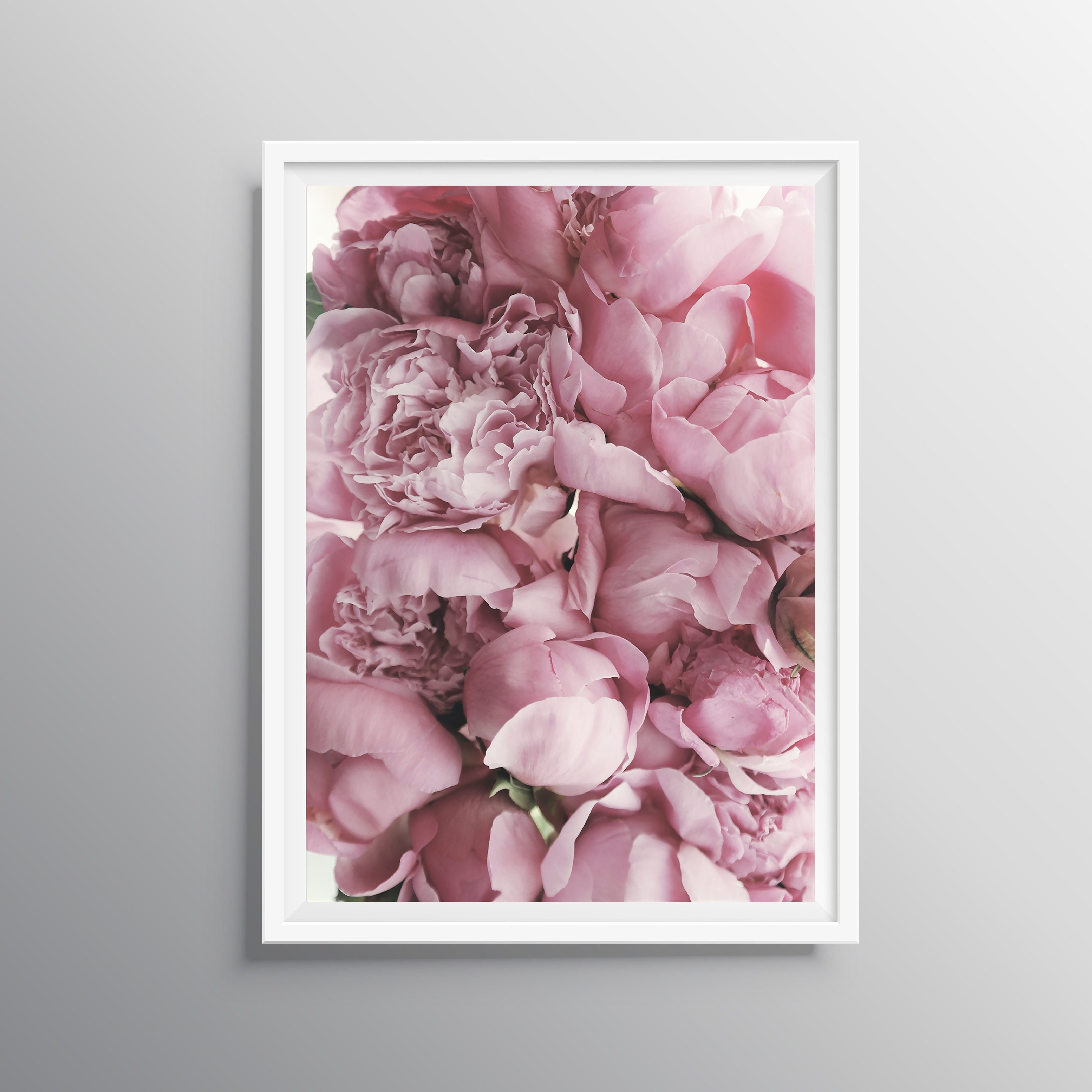 Pink Peonies Print Rose Wall Art Peony Printable Blush Pink | Etsy