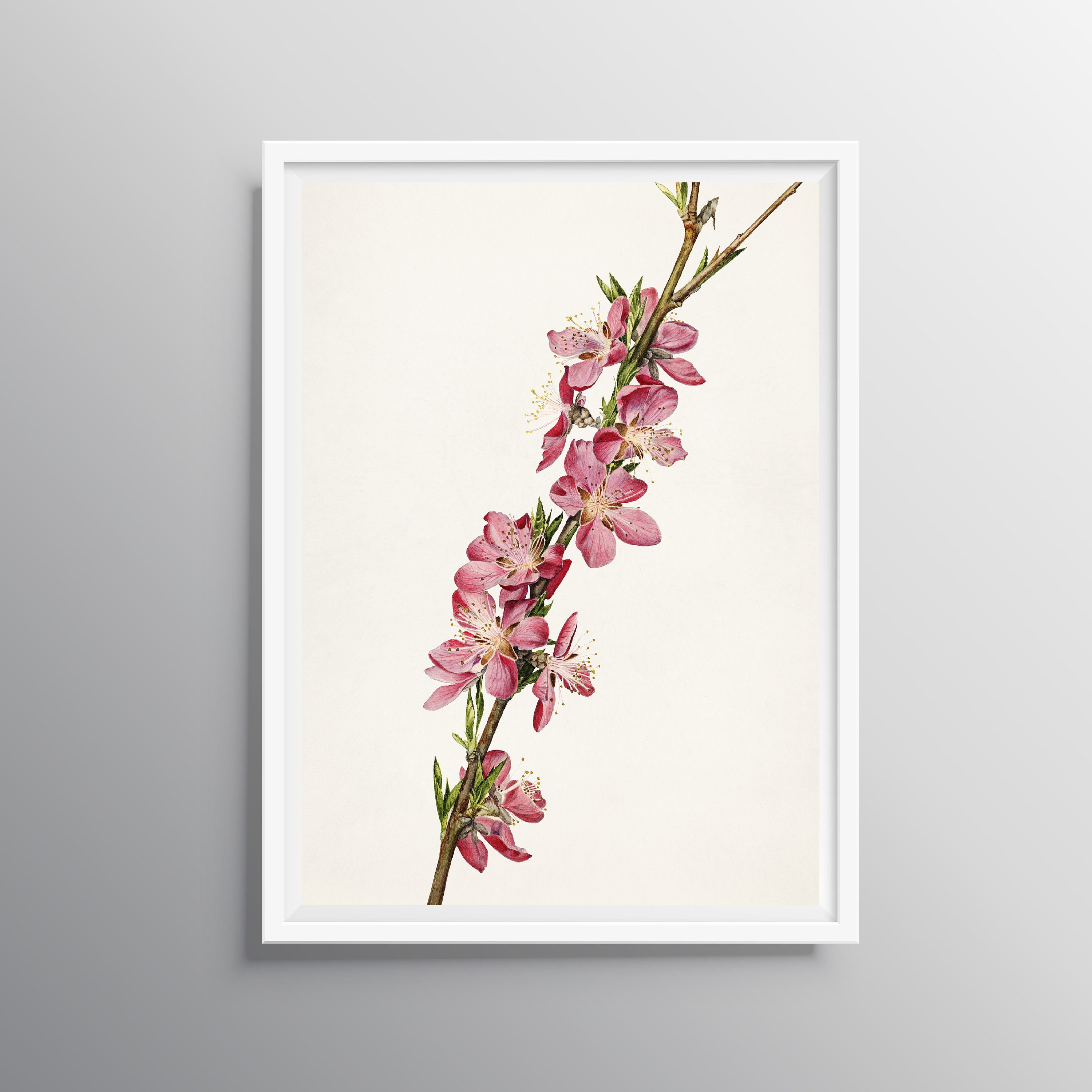 Printable Wall Art Wall Art Flower Wall Art Print Pastel Etsy