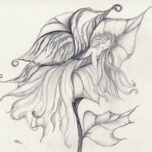 Lámina artística de Hada durmiendo en una flor: Dibujo a lápiz de fantasía (11 x 14)