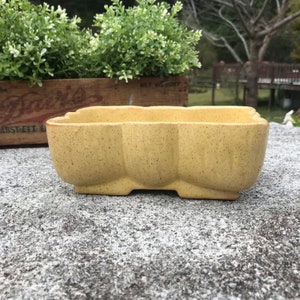 May include: A yellow ceramic planter with a speckled glaze and a square shape with rounded edges. The planter has four small feet.