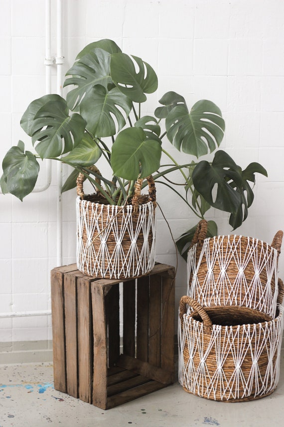 Macramé Basket / Laundry Basket / Plant Basket Etsy