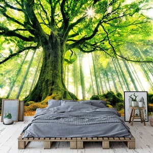 Big Tree Wallpaper - Etsy