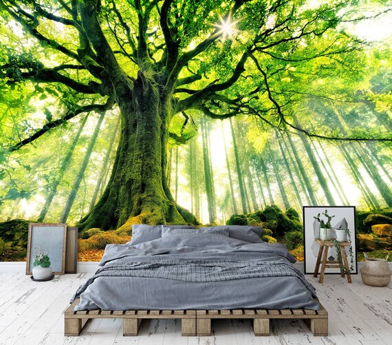 Forest Trees Wall Mural - Self-Adhesive Photo Wallpaper For Living Room Or Bedroom