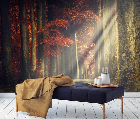 Autumn Trees Scenery Wallpaper