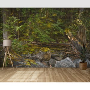 Forest Wall Mural – Lush Green Nature Wallpaper for Relaxing Space - Wallpaper Peel and Stick / Traditional - Mountain Woodland Wallpaper