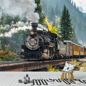 May include: A wall mural featuring a black steam locomotive numbered 482 travelling on a bridge through a forest, with a small wooden chair holding a white pillow with black stars and several small black and white alphabet blocks on the floor.