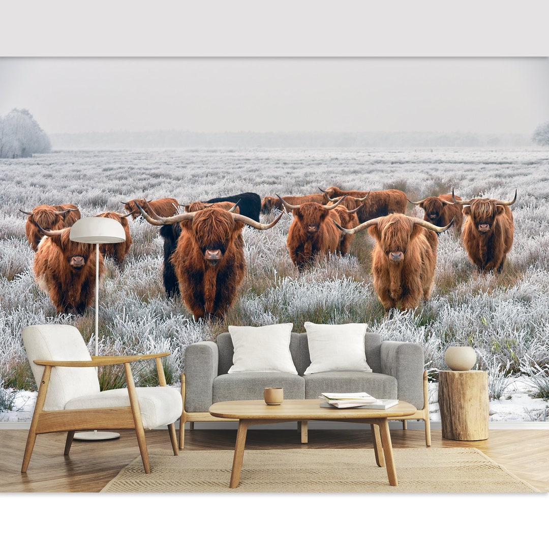 Highland Cow Peel and Stick Wallpaper Wall Mural Highland Cattle