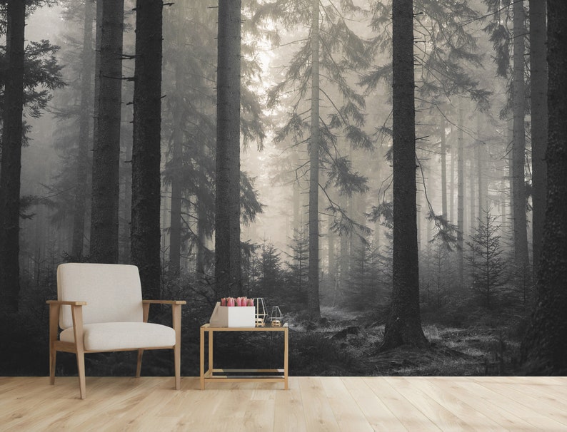 Dark Foggy Forest Wallpaper Peel and Stick \ Traditional | Misty Trees Wallpaper Mural Modern Wall Decor Bedroom Living Room Wallpaper Moody image 2