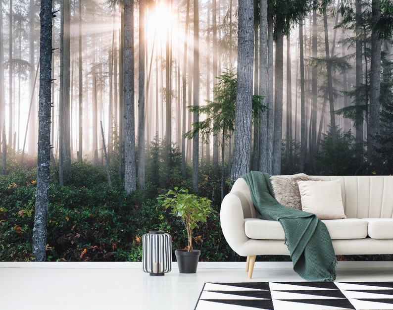 Morning Foggy Forest Trees Mural Wallpaper Peel and Stick Etsy