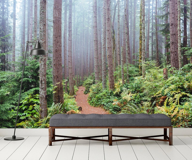 Forest Mural Peel&Stick Vinyl Wallpaper Foggy Forest Wallpaper | Etsy