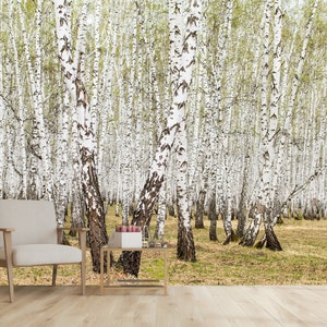 Birch Grove Wall Mural Peel and Stick Wallpaper Bedroom Living Room Natural Wallpaper Print Home Wall Decor Birch Forest Wallpaper Nature